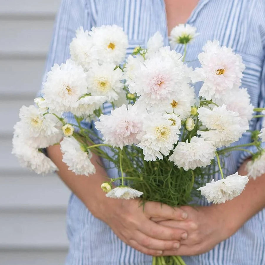 Cosmo-Double Click Snow Puff