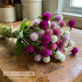 Gomphrena-QIS Mix