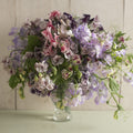 Sweet Pea-Spencer Ripple Formula Mix