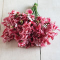 Sweet Pea Mars